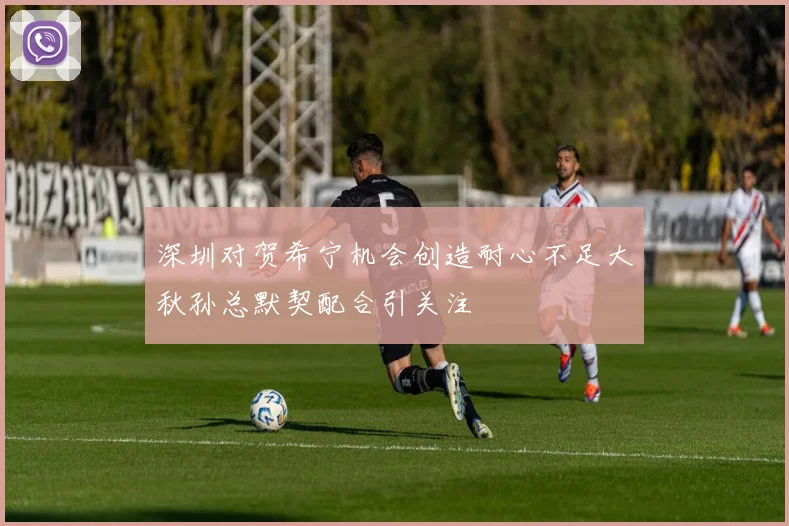 深圳对贺希宁机会创造耐心不足大秋孙总默契配合引关注