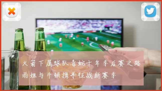 火箭下属球队毒蛇十年季后赛之路雨姐与牛顿携手征战新赛季