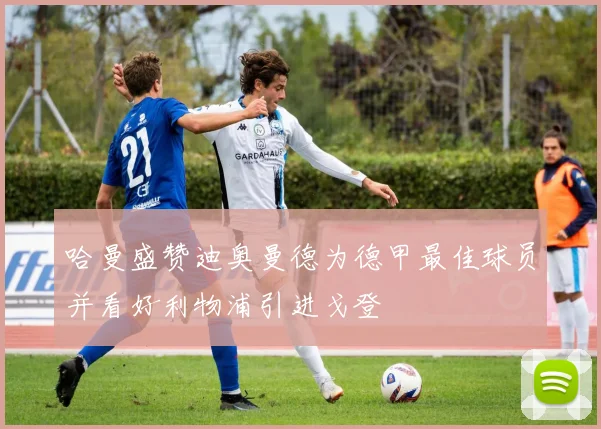 哈曼盛赞迪奥曼德为德甲最佳球员并看好利物浦引进戈登