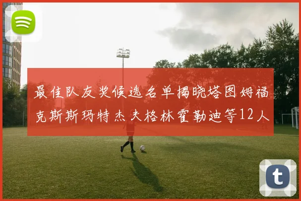 最佳队友奖候选名单揭晓塔图姆福克斯斯玛特杰夫格林霍勒迪等12人争夺荣耀