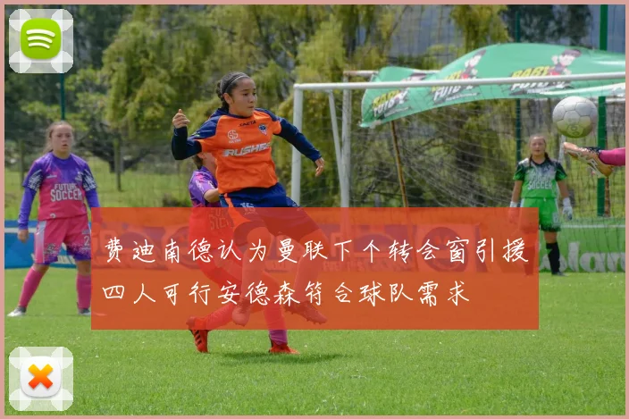 费迪南德认为曼联下个转会窗引援四人可行安德森符合球队需求