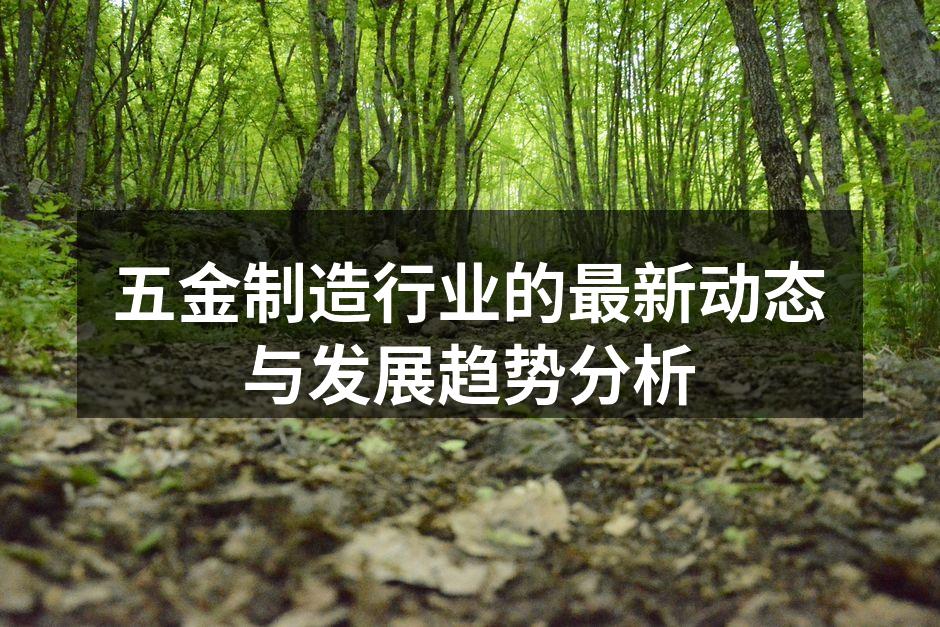 五金制造行业的最新动态与发展趋势分析