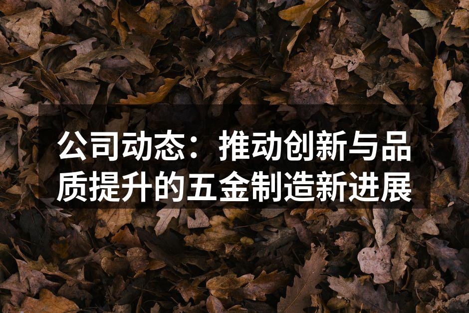公司动态：推动创新与品质提升的五金制造新进展